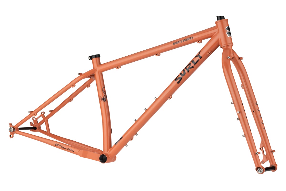 SURLY* karate monkey / BUILT BY BLUE LUG - CUSTOMER'S BIKE