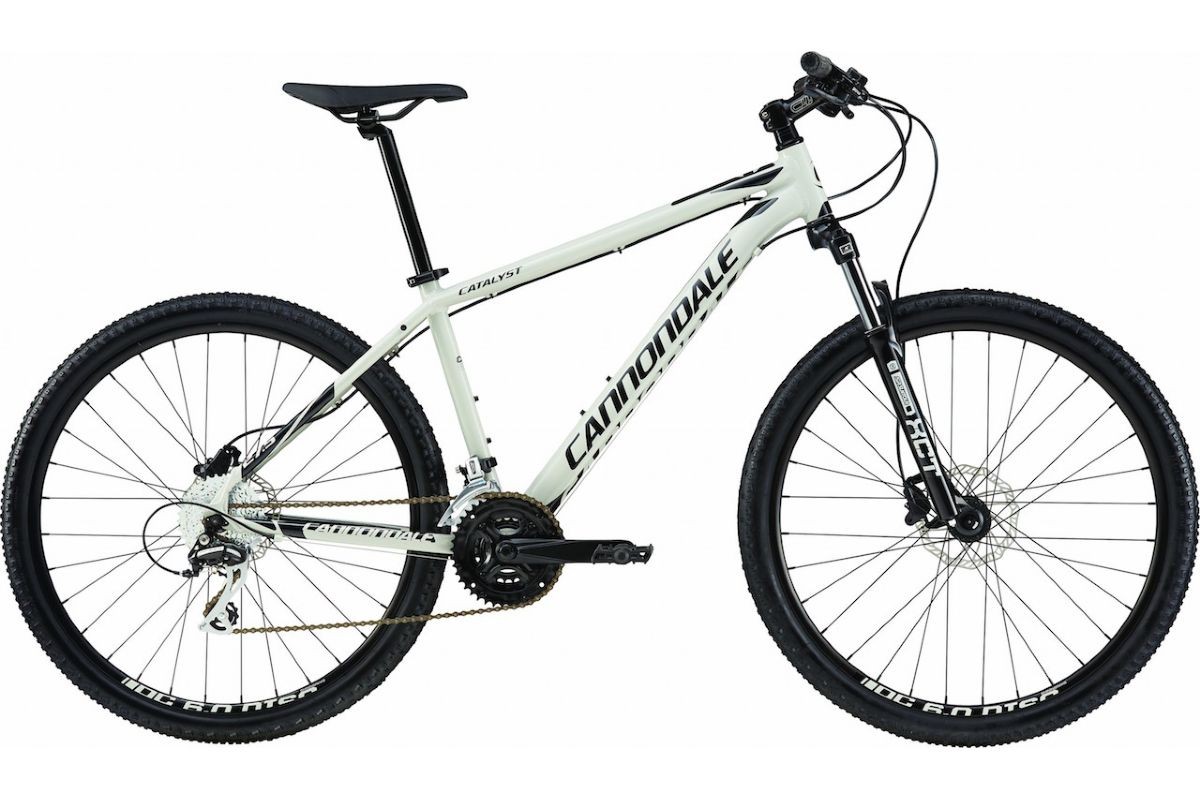 cannondale catalyst 2