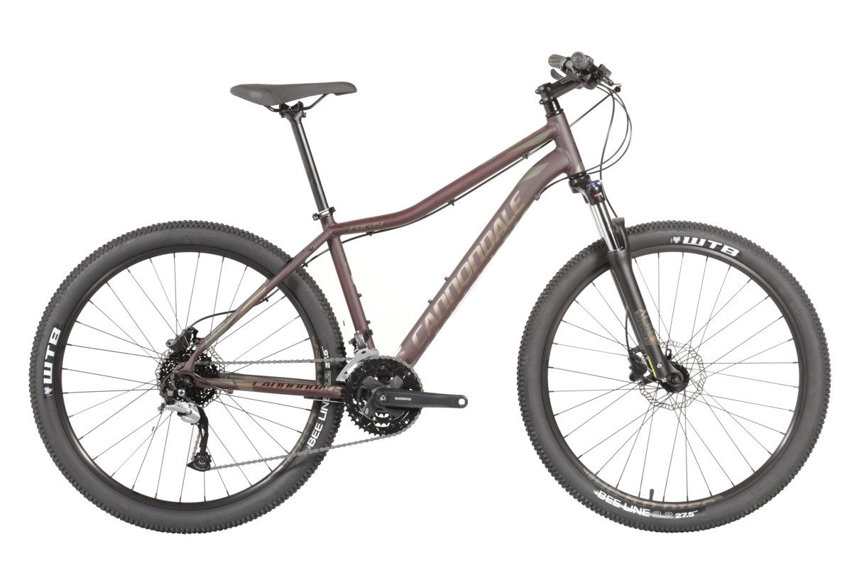 cannondale foray 1